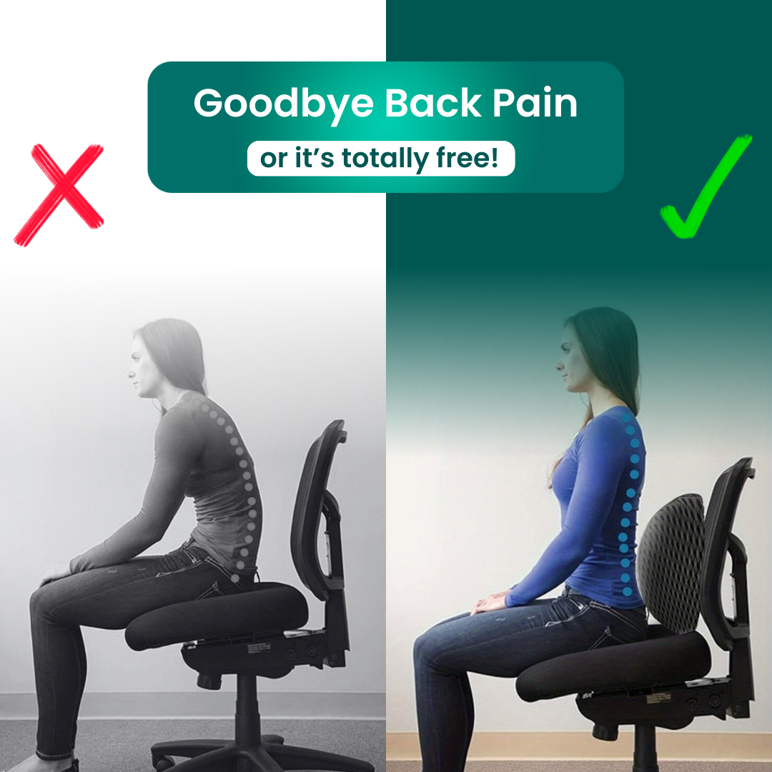 LumbarLift™ Lumbar Pillow