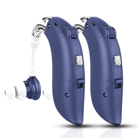 EarHarmony Hearing Aid